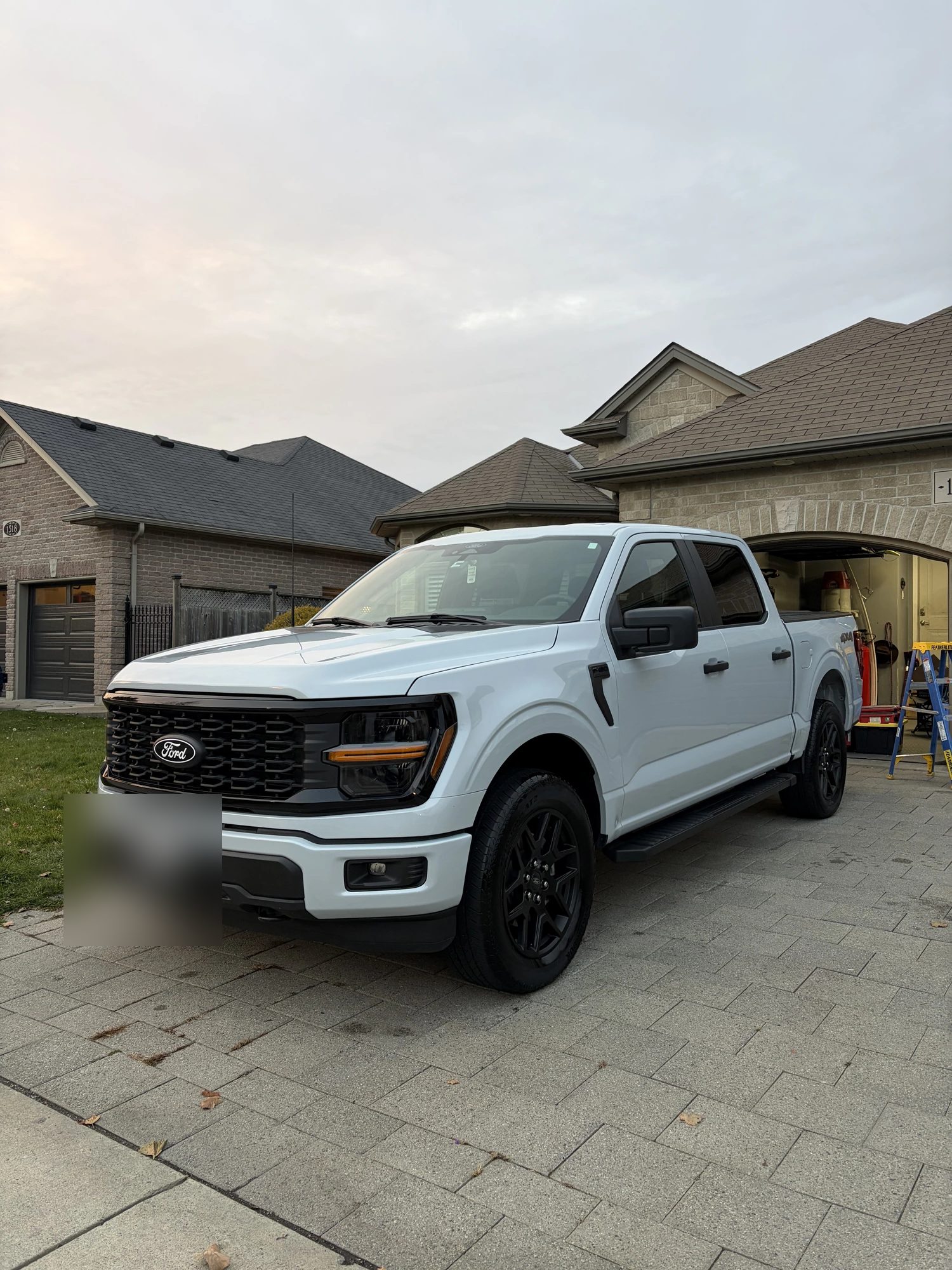 Paint Transfer Repair, Polish & Coating — 2025 Ford F-150